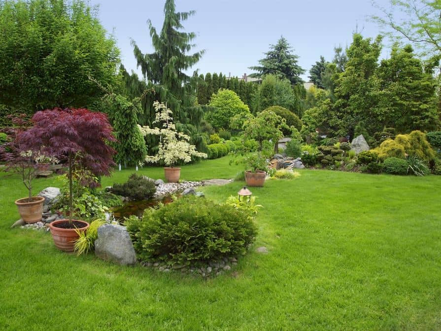 Ogród ekologiczny z roślinami ozdobnymi