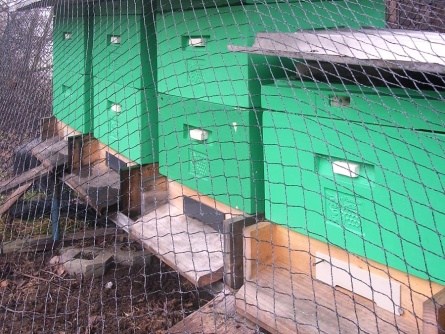 Birdnet R (25 g/m², oko 20×20 mm)