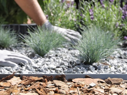 Palis Garden (5 szt. + szpilki)